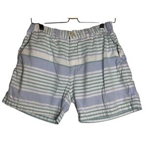 Chubbies Men's Large Striped Cotton Shorts 5.5 Inch Inseam Blue White Green